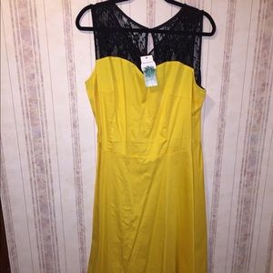 Yellow and Black Lace A Line Dress